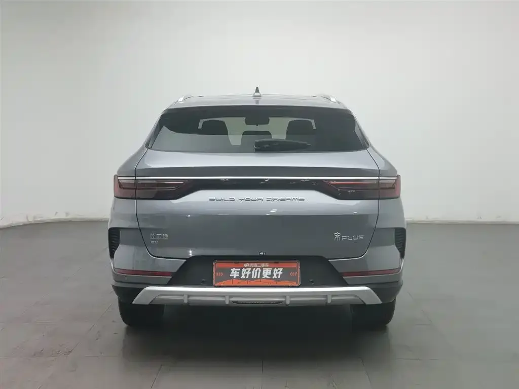 BYD PLUS New Energy 2023 из CN, фото 2