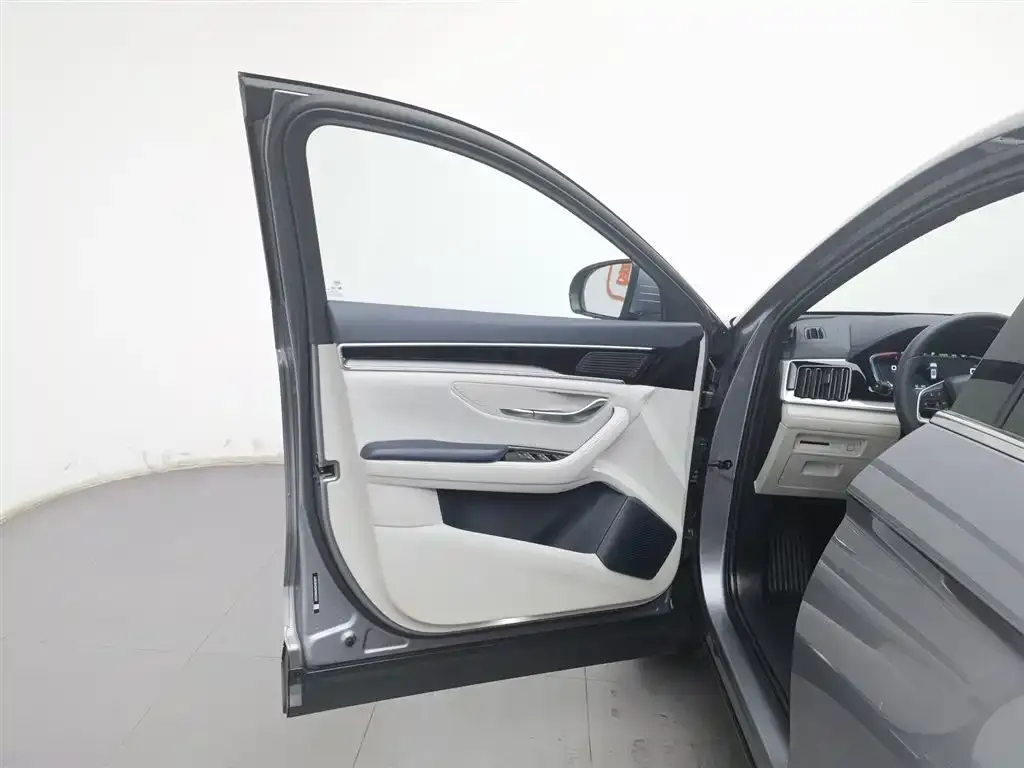BYD PLUS New Energy 2023 из CN, фото 6