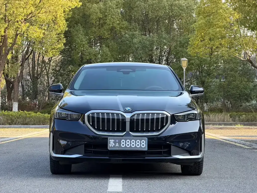 BMW 5 Series 2024 из CN, фото 4