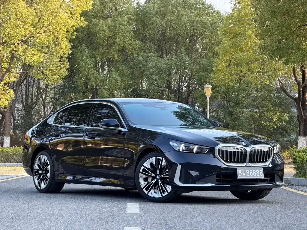 BMW 5 Series 2024 из CN, фото 8