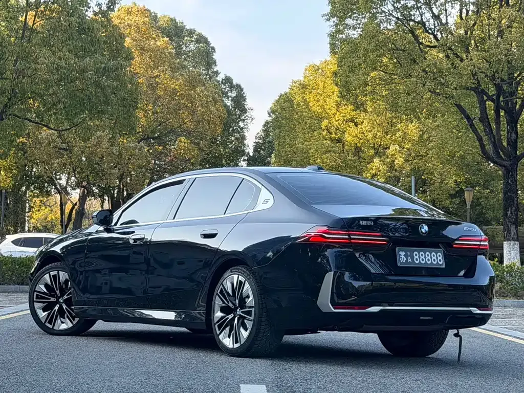 BMW 5 Series 2024 из CN, фото 7