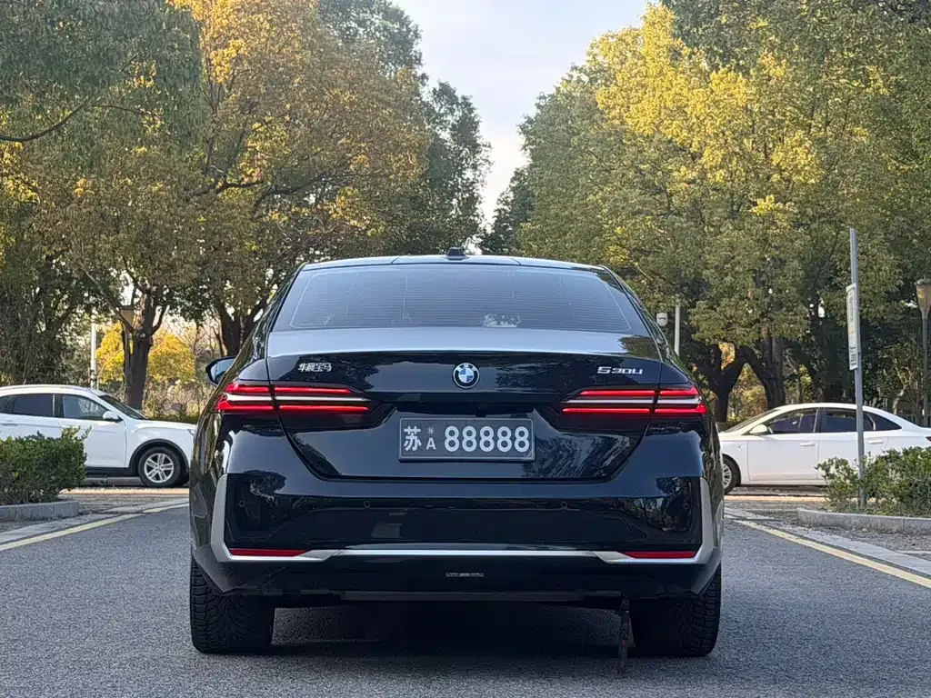 BMW 5 Series 2024 из CN, фото 10