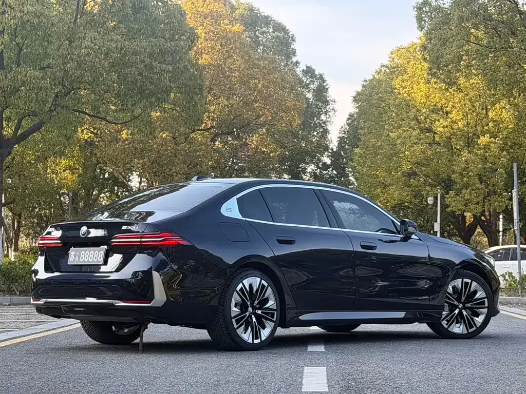 BMW 5 Series 2024 из CN, фото 9