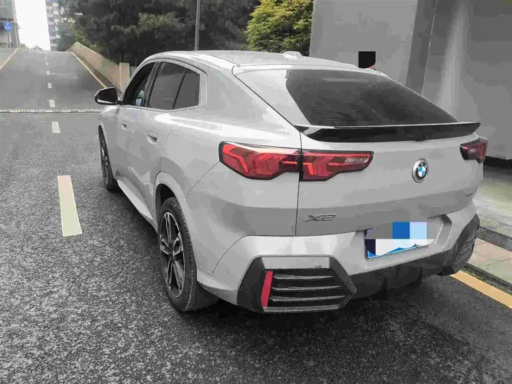 BMW X2 (Import) 2024 из CN, фото 3