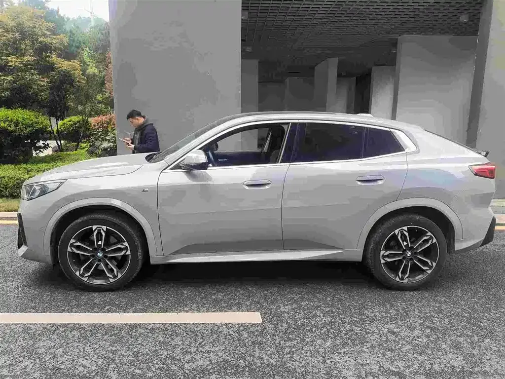 BMW X2 (Import) 2024 из CN, фото 6