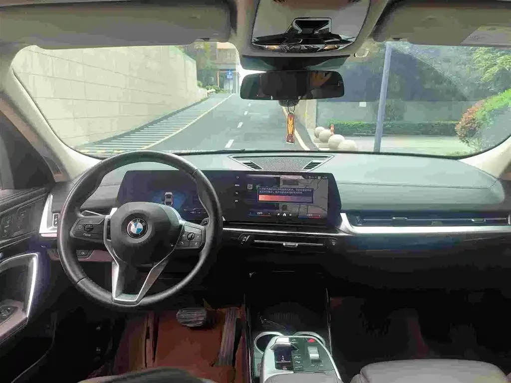 BMW X2 (Import) 2024 из CN, фото 10