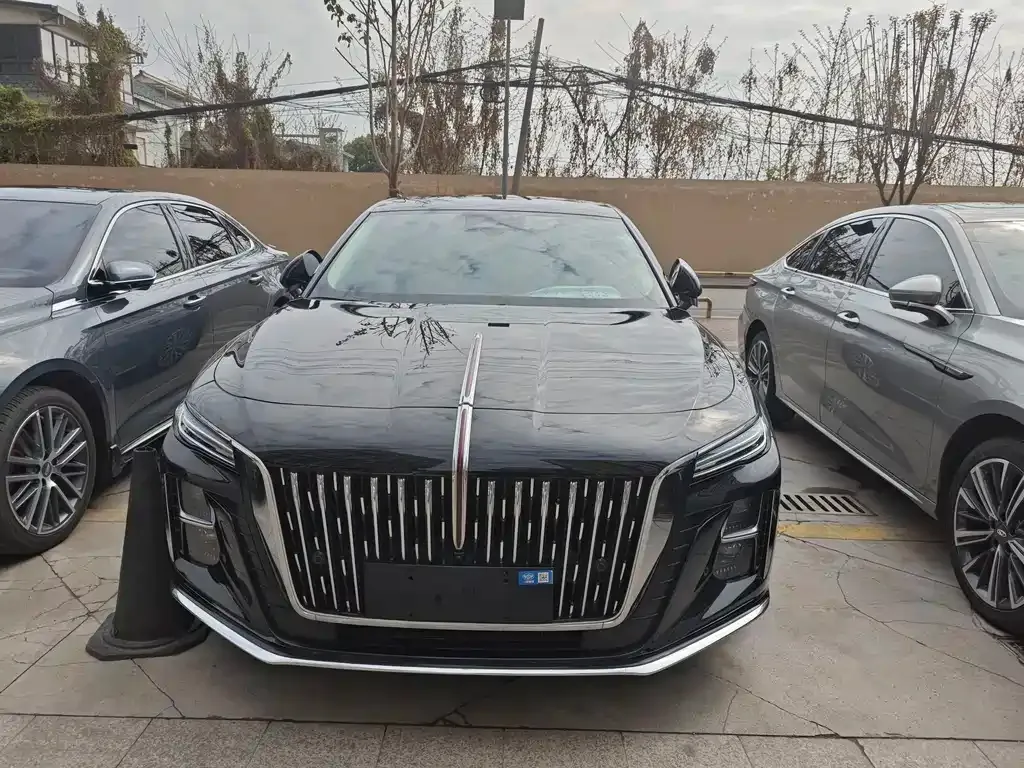 Hongqi H5 2025 из CN, фото 1