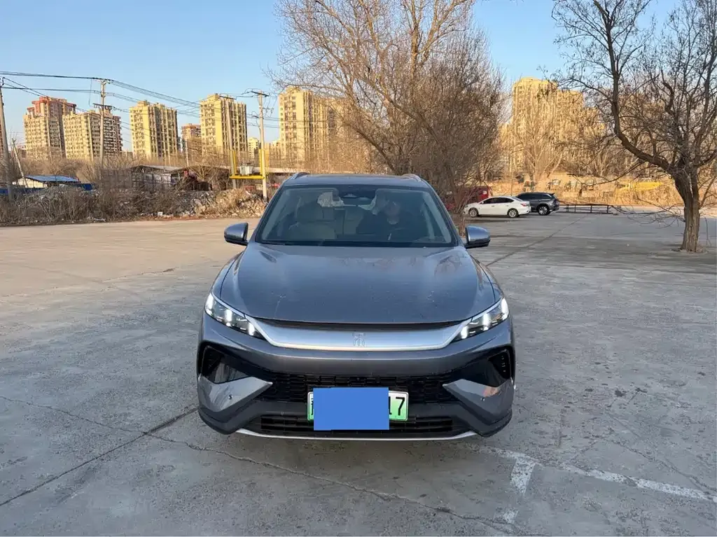 BYD Pro New Energy 2025 из CN, фото 7