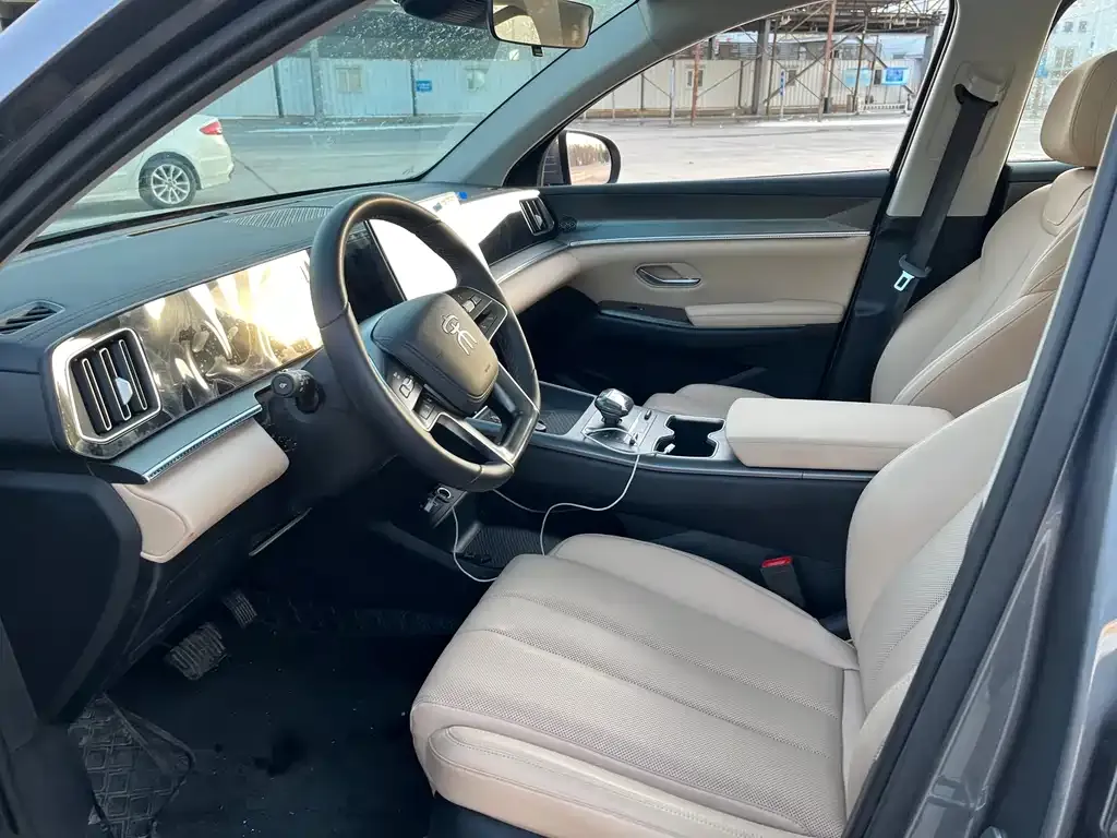 BYD Pro New Energy 2025 из CN, фото 4