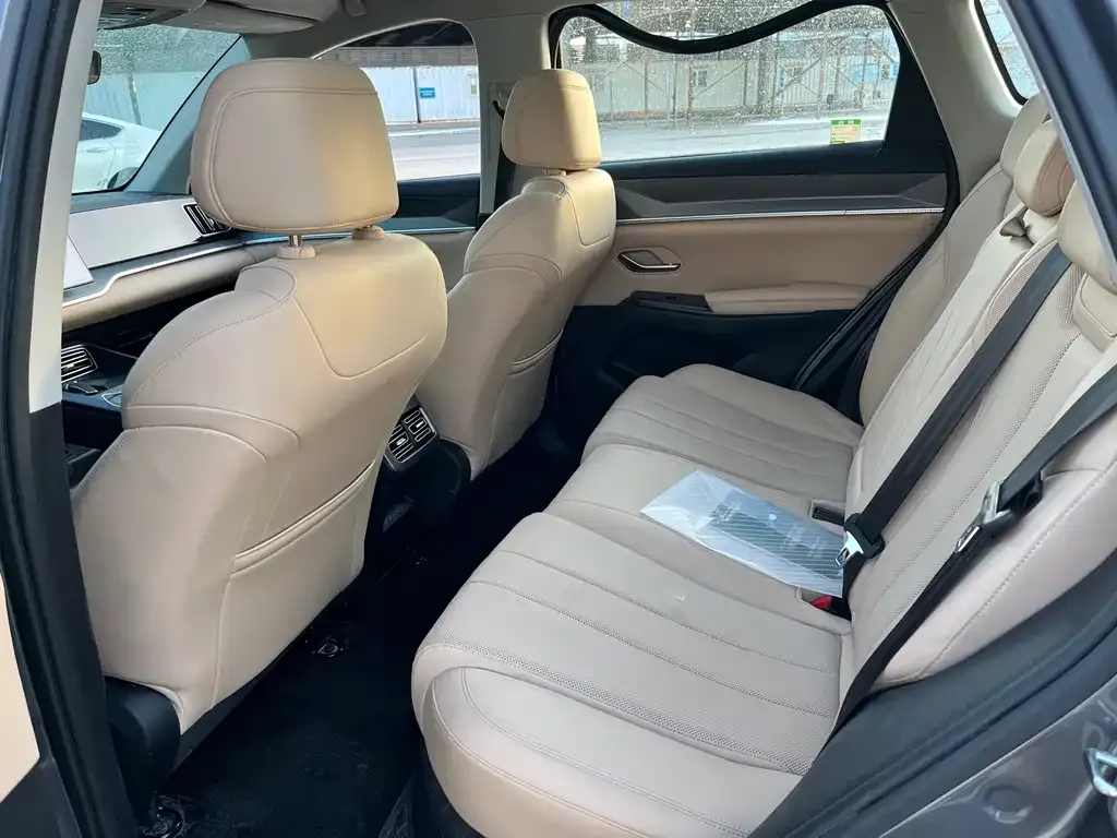 BYD Pro New Energy 2025 из CN, фото 2