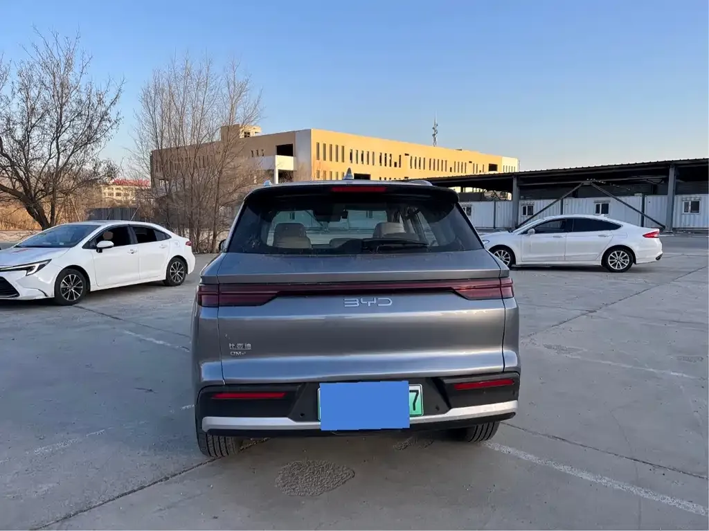 BYD Pro New Energy 2025 из CN, фото 6