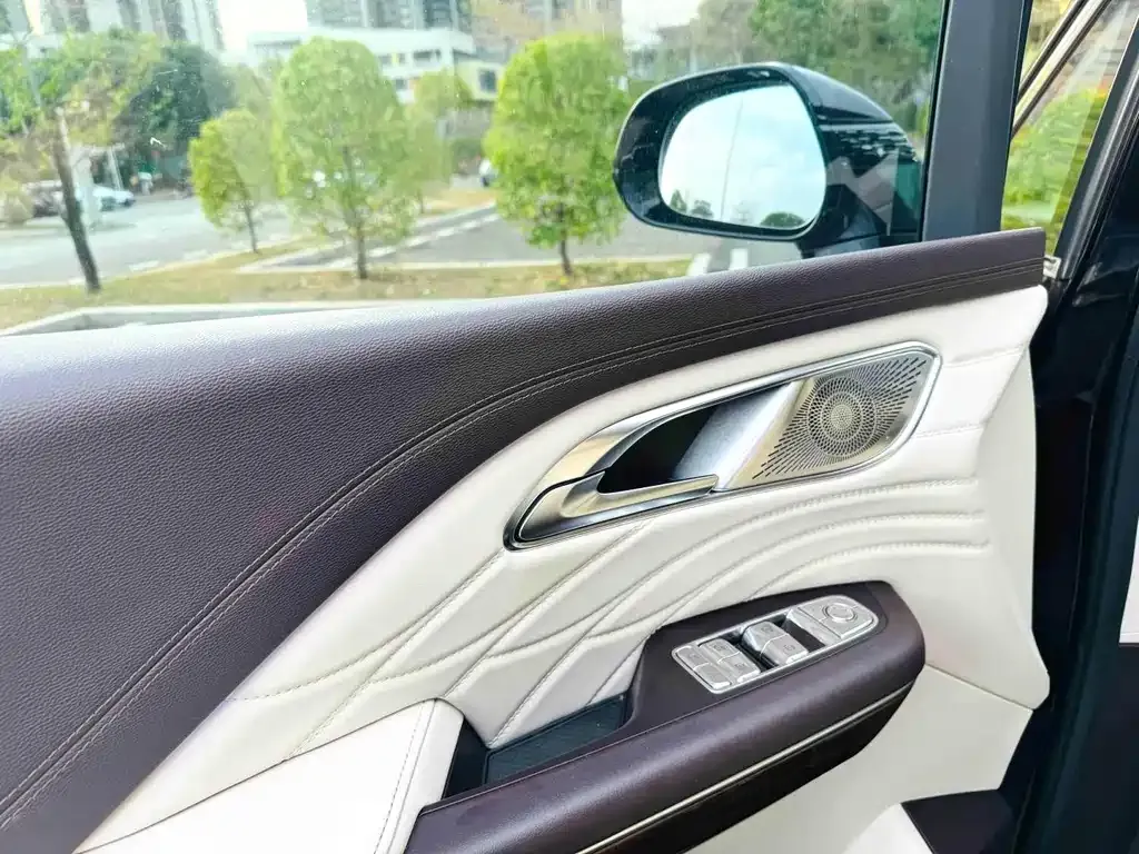 Hongqi HQ9 2023 из CN, фото 4