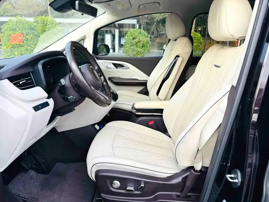 Hongqi HQ9 2023 из CN, фото 6