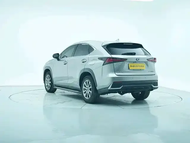 Lexus NX 2021 из CN, фото 7