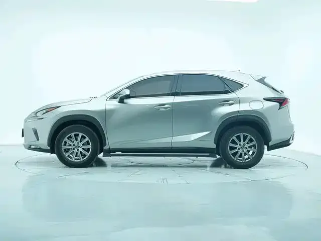 Lexus NX 2021 из CN, фото 4