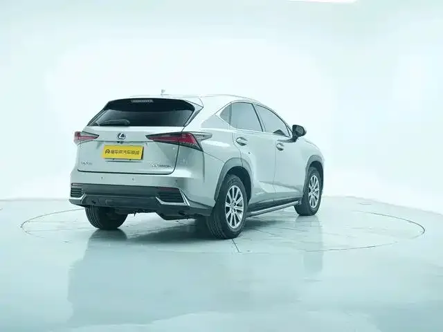Lexus NX 2021 из CN, фото 9