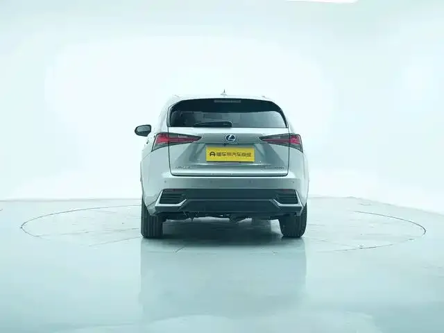 Lexus NX 2021 из CN, фото 6