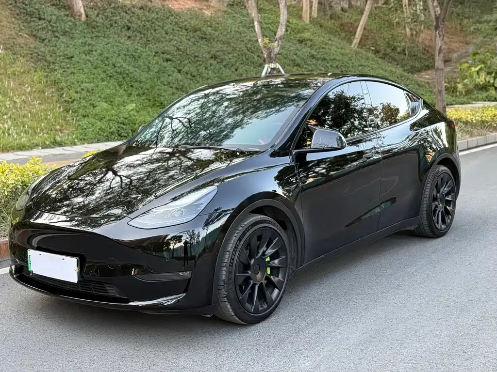 Tesla Model Y 2021 из CN, фото 1