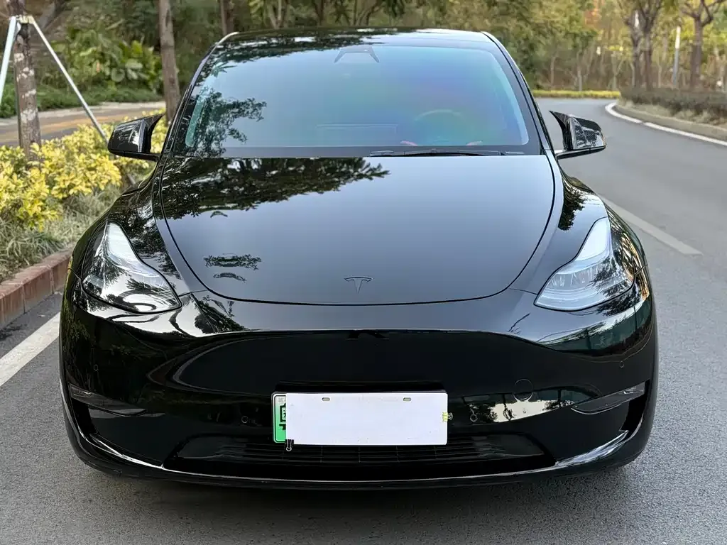 Tesla Model Y 2021 из CN, фото 8