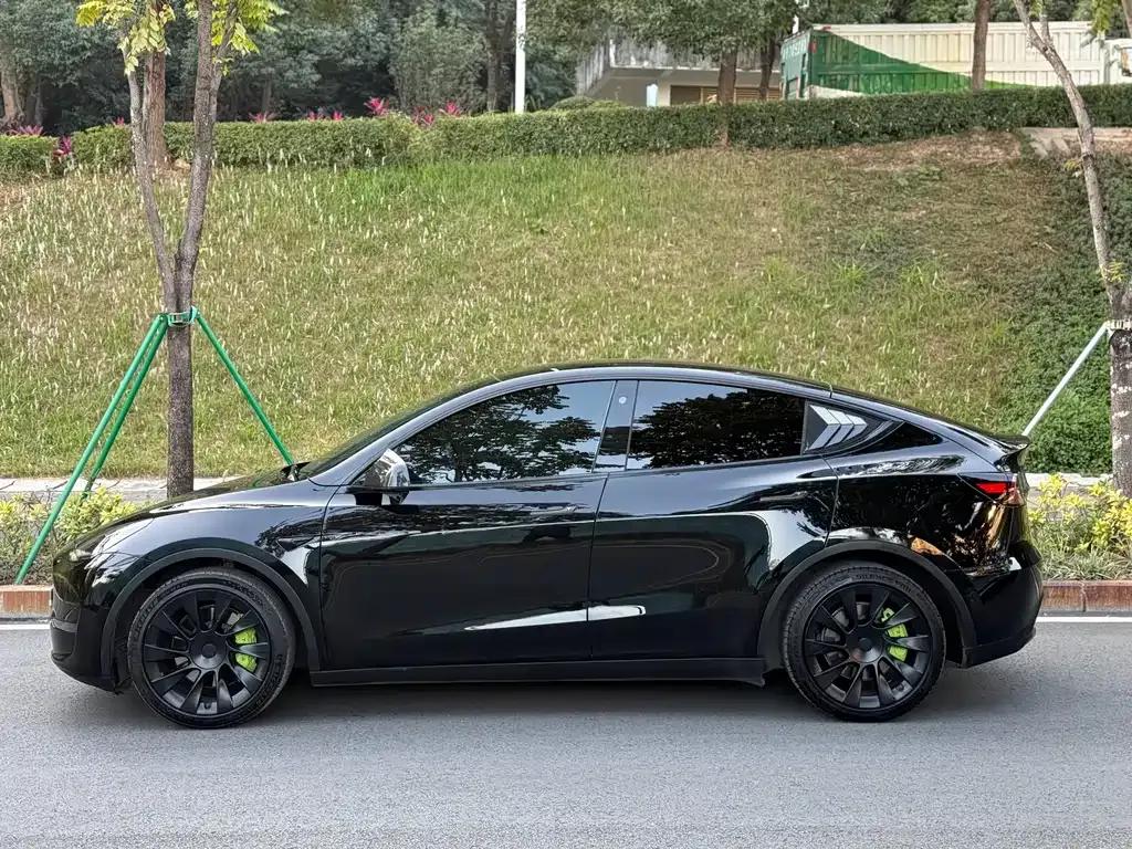 Tesla Model Y 2021 из CN, фото 9