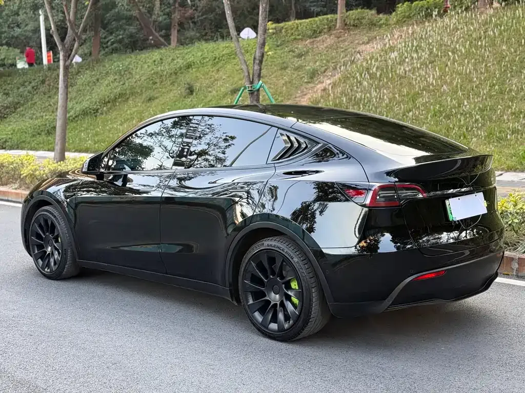 Tesla Model Y 2021 из CN, фото 5