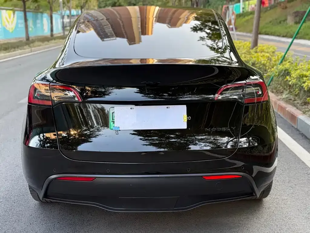 Tesla Model Y 2021 из CN, фото 3