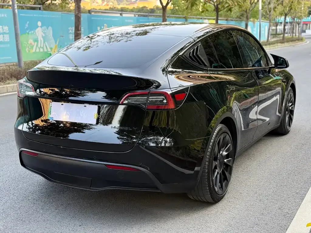 Tesla Model Y 2021 из CN, фото 4