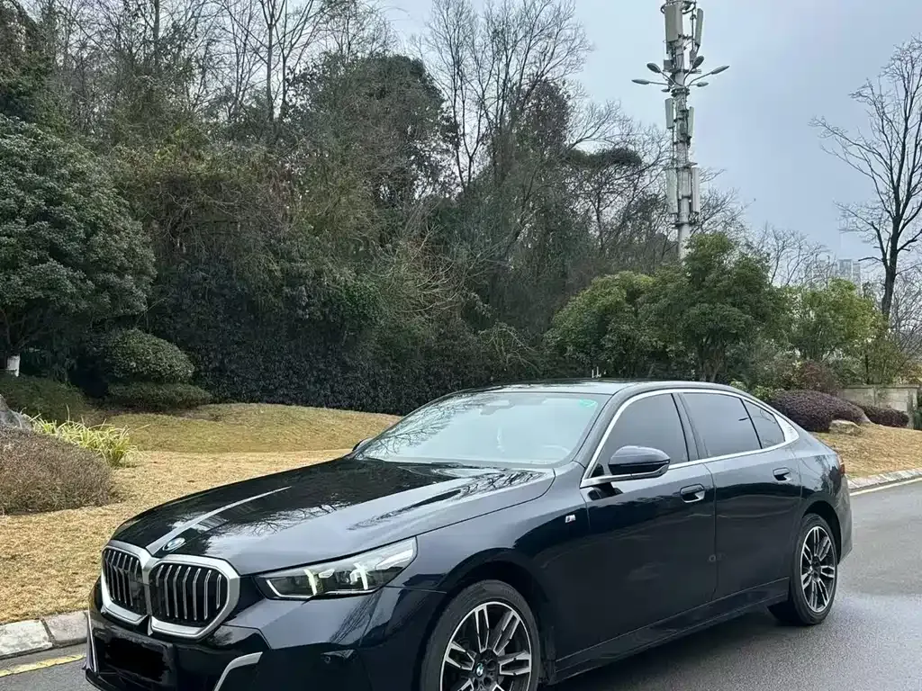 BMW 5 Series 2025 из CN, фото 1