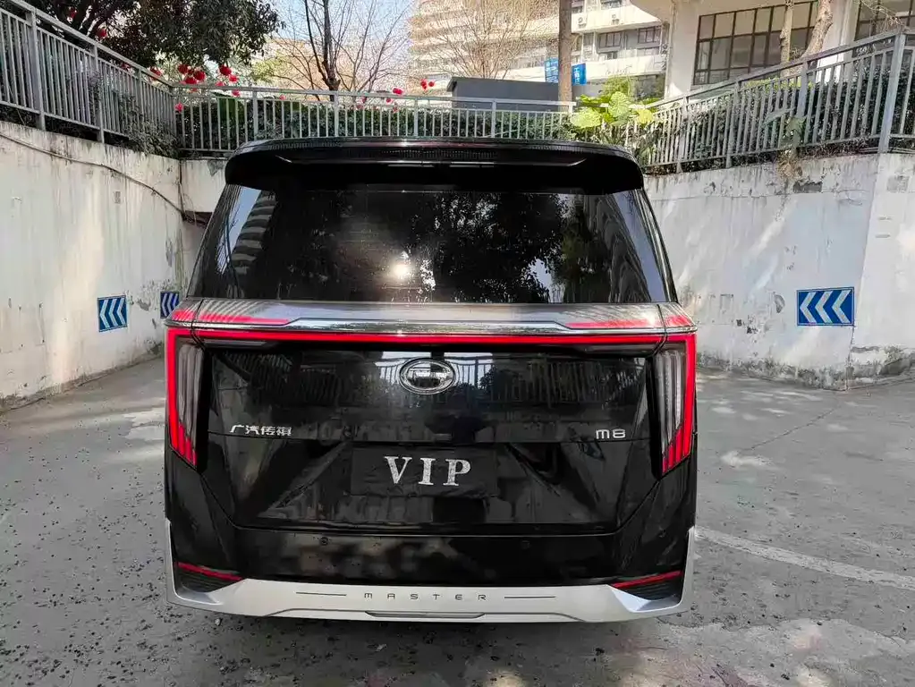 GAC Motor Trumpchi M8 2023 из CN, фото 5