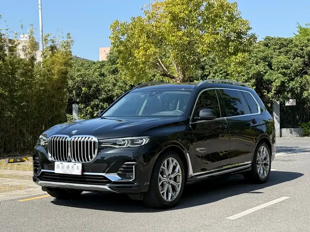 BMW X7 — фото 10