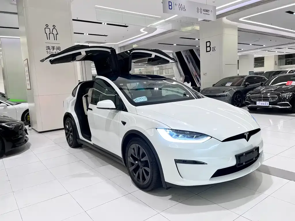 Tesla Model X 2023 из CN, фото 8