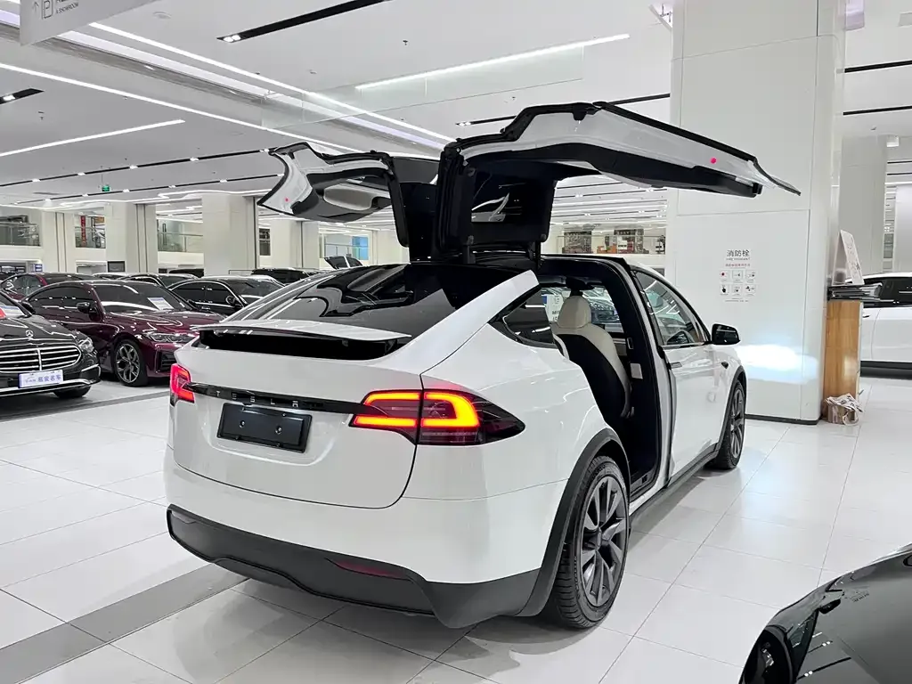Tesla Model X 2023 из CN, фото 3