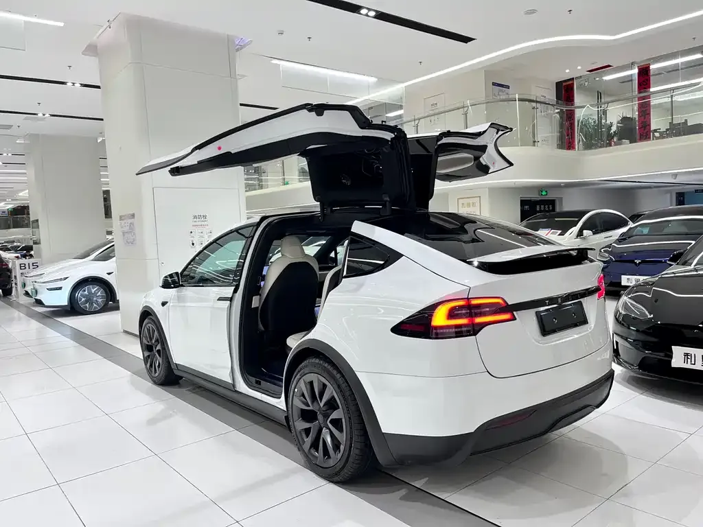 Tesla Model X 2023 из CN, фото 2