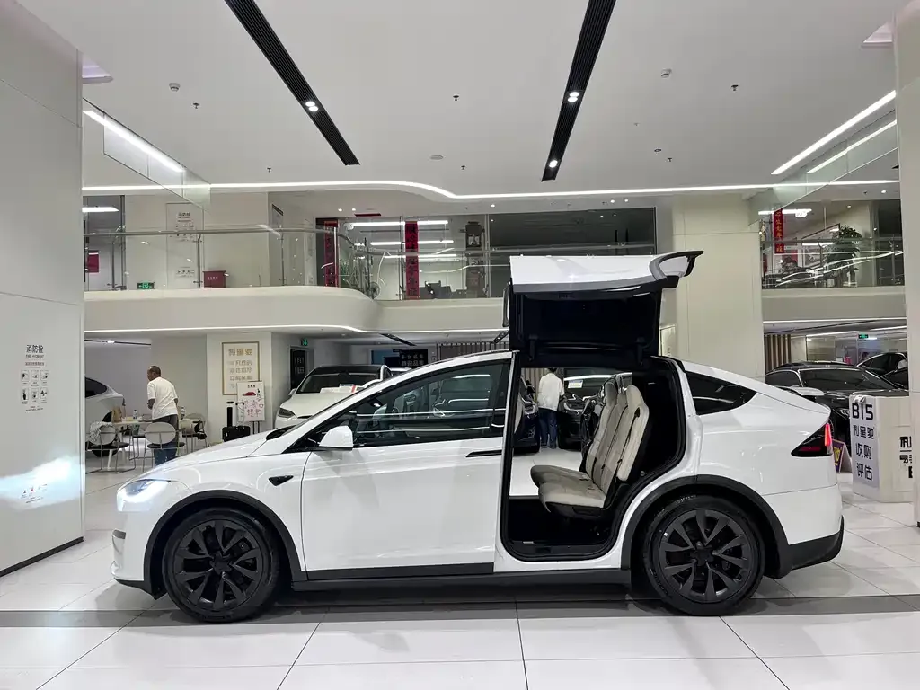 Tesla Model X 2023 из CN, фото 9