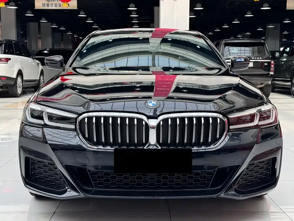 BMW 5 Series 2024 из CN, фото 6