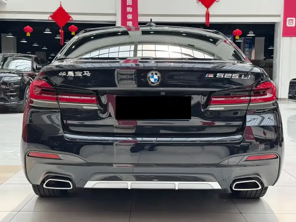 BMW 5 Series 2024 из CN, фото 2