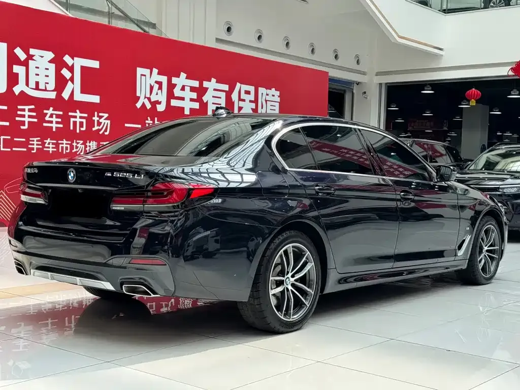 BMW 5 Series 2024 из CN, фото 8