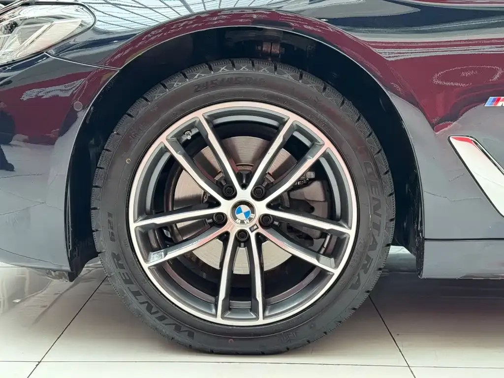 BMW 5 Series 2024 из CN, фото 9