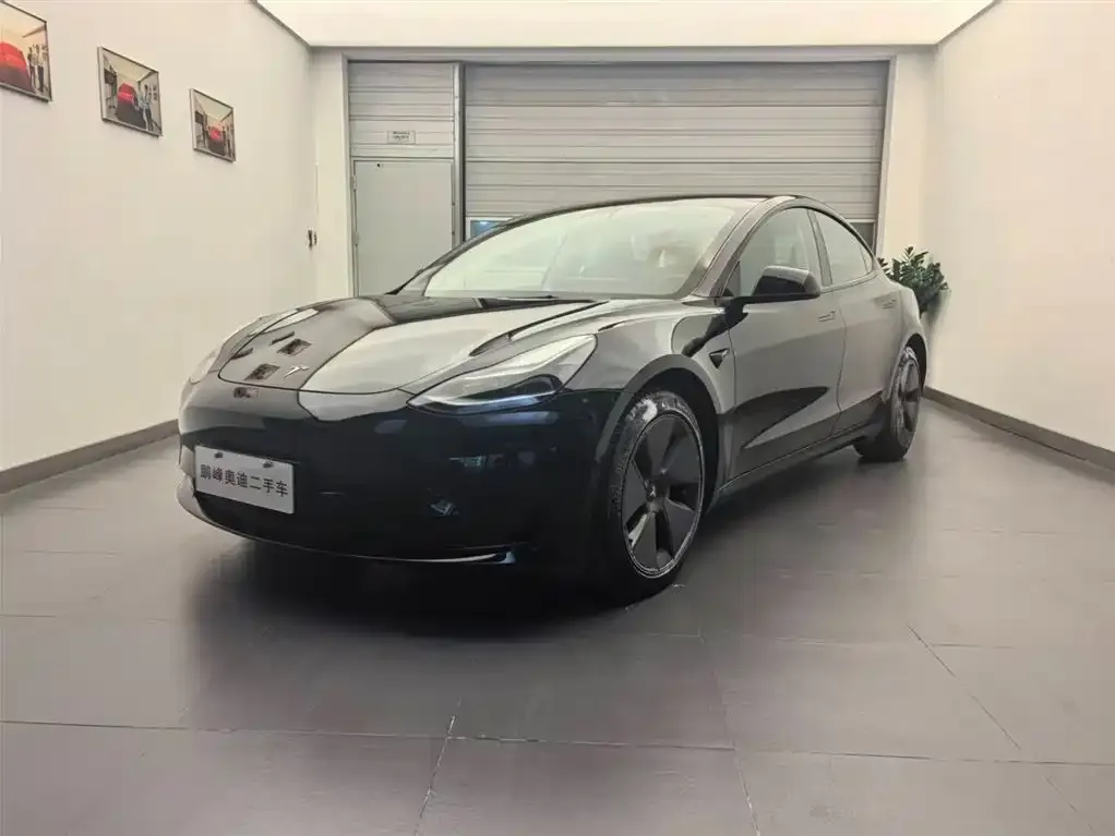 Tesla Model 3 2021 из CN, фото 1