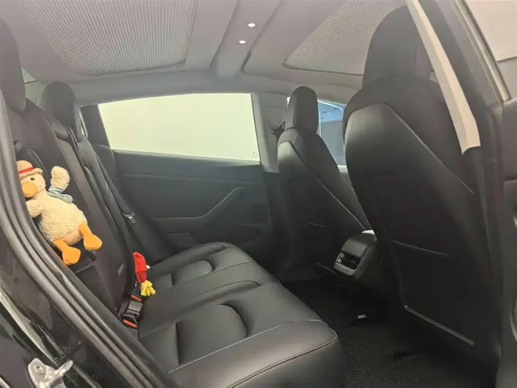 Tesla Model 3 2021 из CN, фото 7