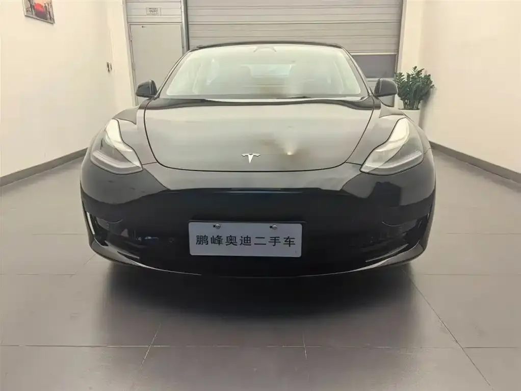 Tesla Model 3 2021 из CN, фото 2