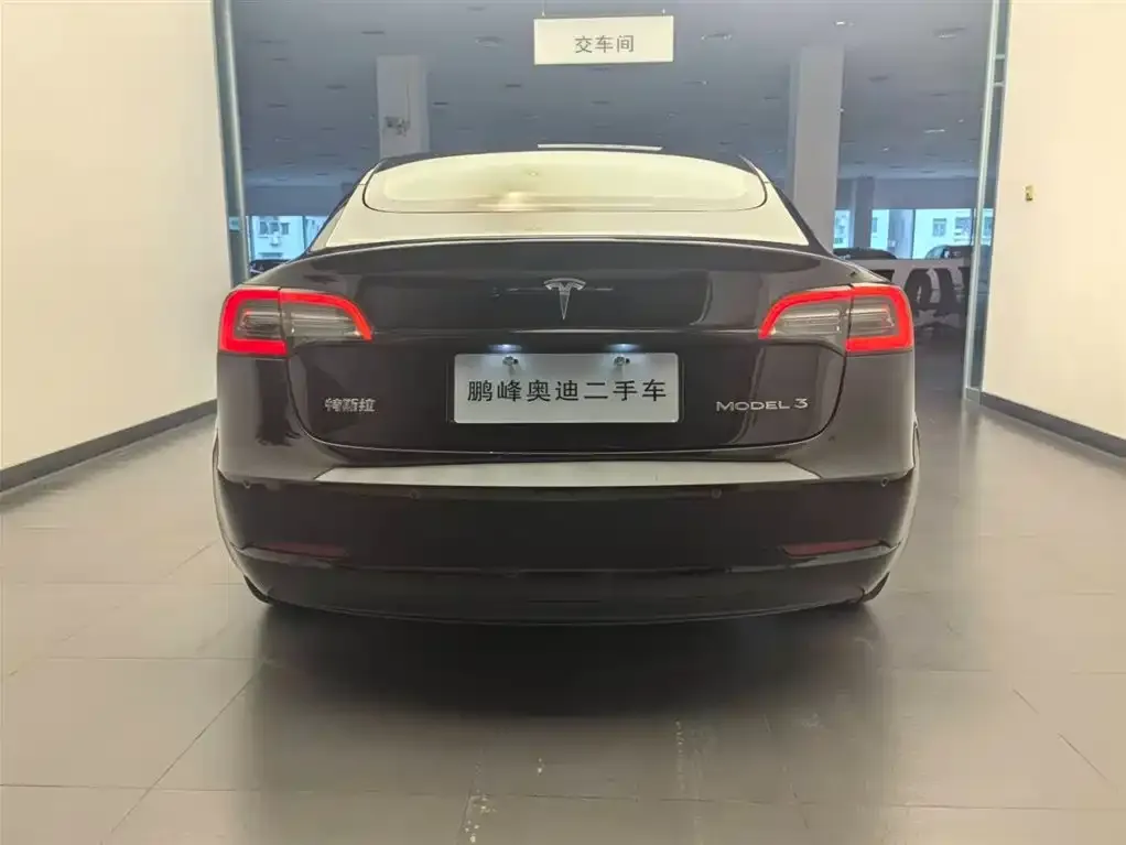 Tesla Model 3 2021 из CN, фото 4