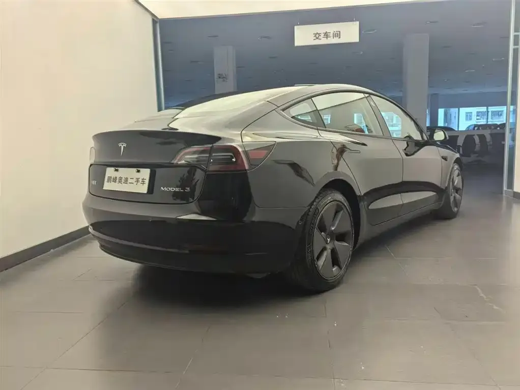 Tesla Model 3 2021 из CN, фото 3