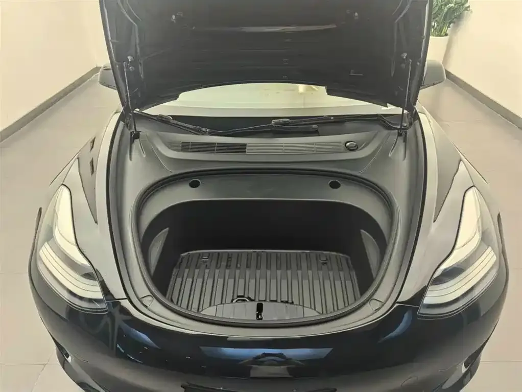 Tesla Model 3 2021 из CN, фото 10