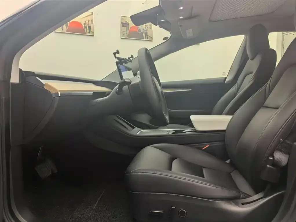 Tesla Model 3 2021 из CN, фото 5