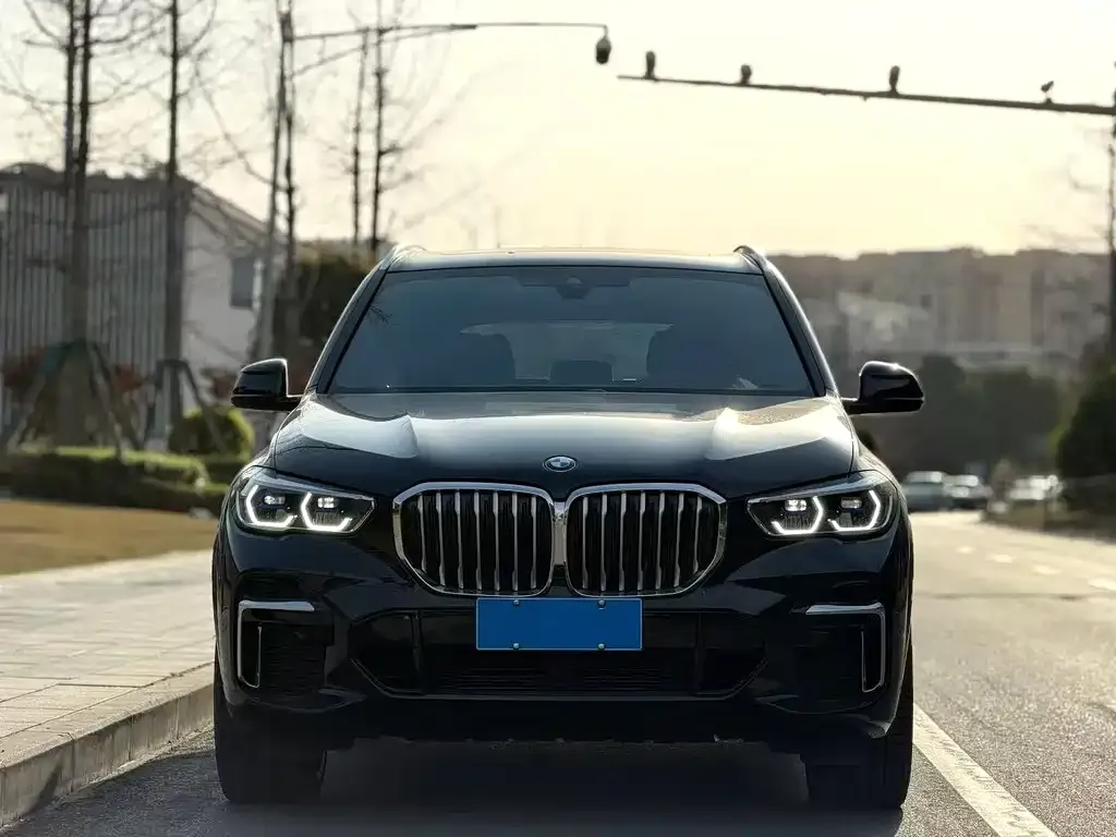 BMW X5 2022 из CN, фото 1