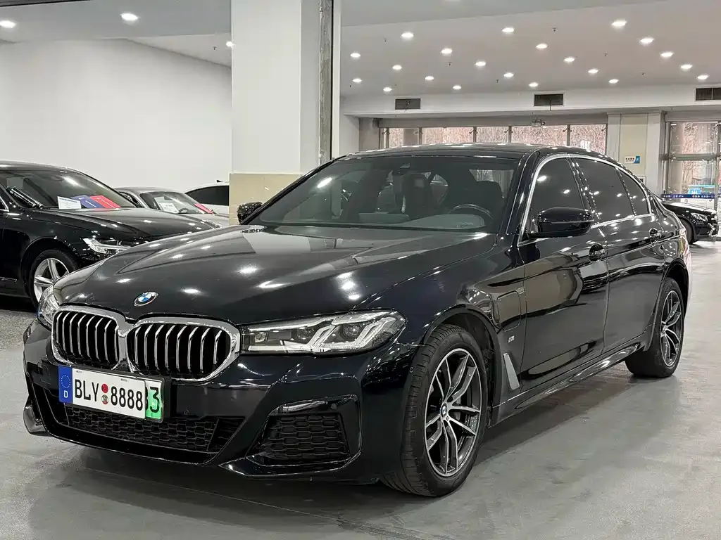BMW 5 Series New Energy 2021 из CN, фото 1