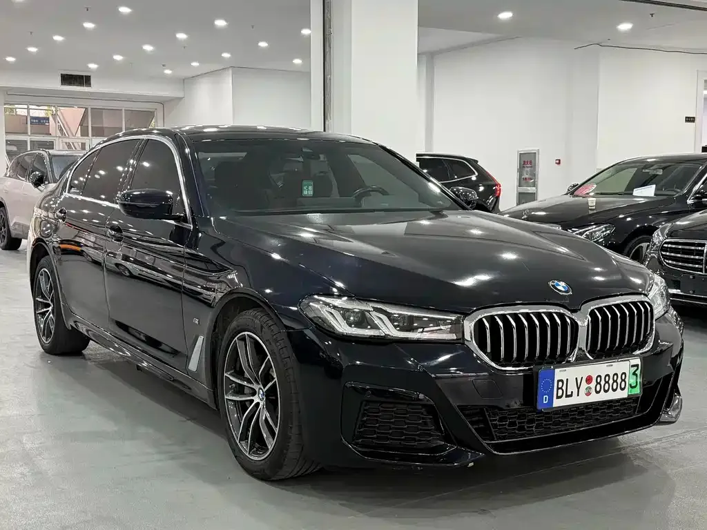 BMW 5 Series New Energy 2021 из CN, фото 3