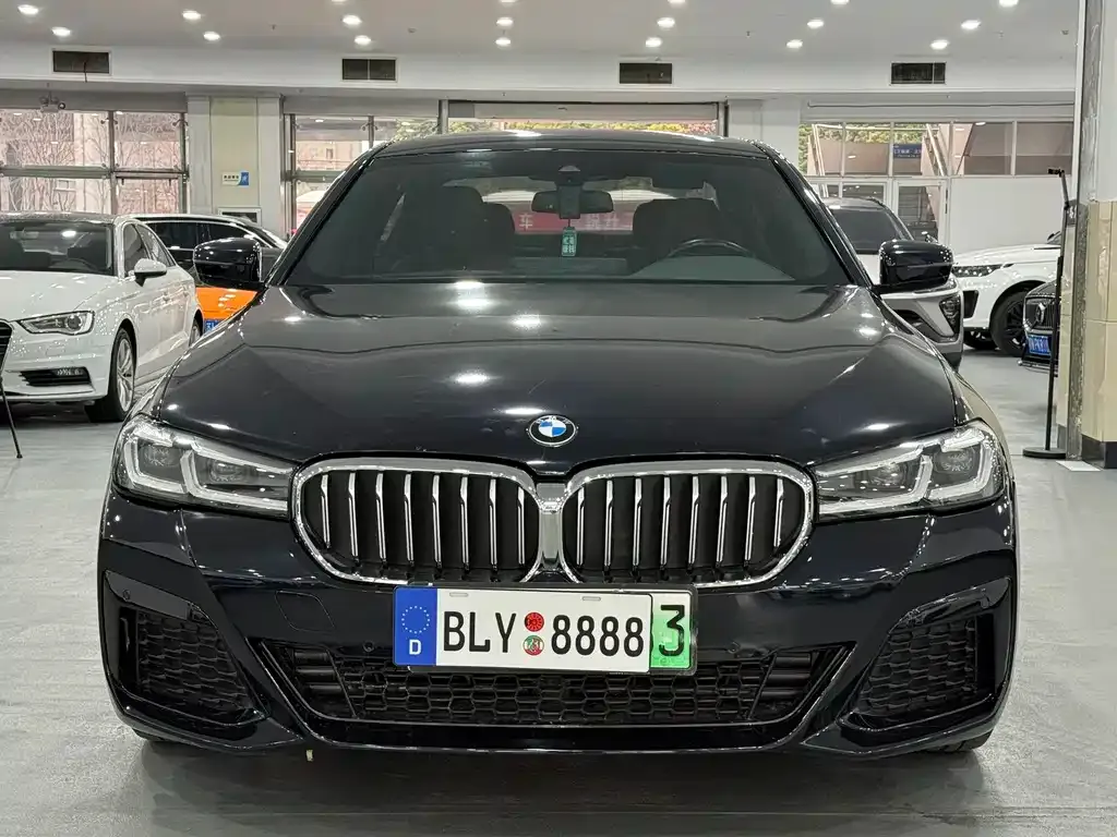 BMW 5 Series New Energy 2021 из CN, фото 5