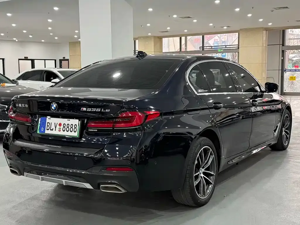 BMW 5 Series New Energy 2021 из CN, фото 7